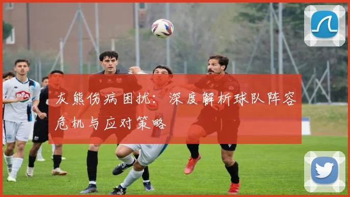 灰熊伤病困扰：深度解析球队阵容危机与应对策略