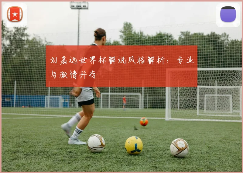 刘嘉远世界杯解说风格解析，专业与激情并存